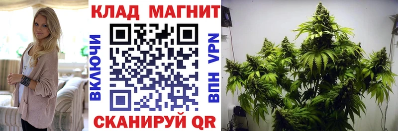  Cocaine Бабушкин