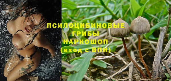крисы Алзамай
