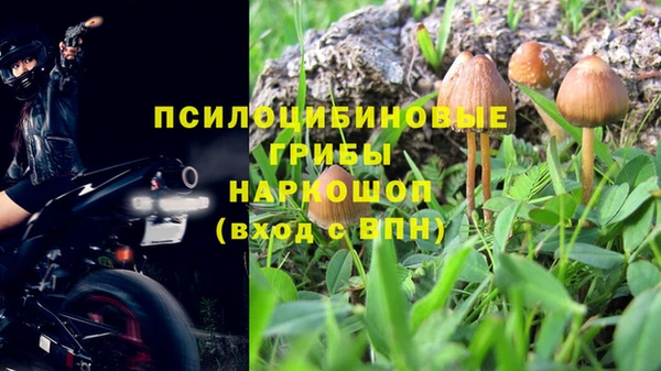 винт Алексин