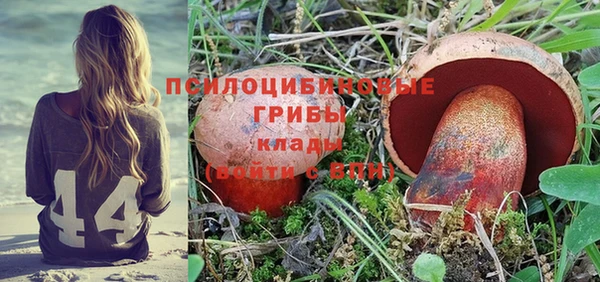 винт Алексин
