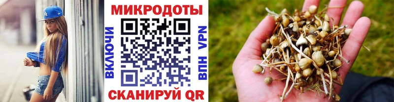 дарнет шоп Бабушкин дарк нет состав Псилоцибиновые грибы прущие грибы блэк спрут tor